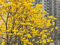 -荔園 LaiYuen