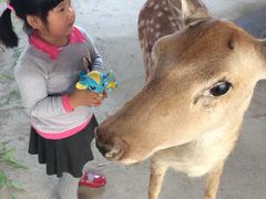 iphone_upload_pic-北京鹿世界主题园
