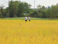 -光明小镇欢乐田园