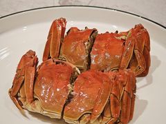 -新光酒家·河豚·海鲜·蟹料理(浦东店)