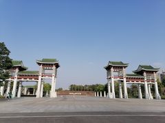 -王借岗森林公园