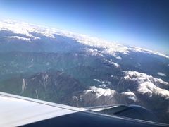 -德禄酸奶(莫家街店)