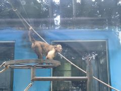 -秦皇岛野生动物园