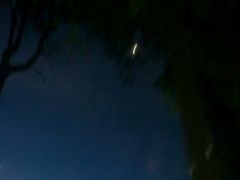 -COHIBA(水湾路店)