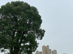 -上海月湖雕塑公园