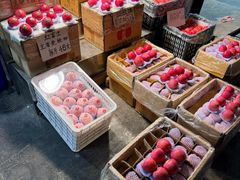 -双福水果批发市场