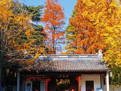 -汇龙潭