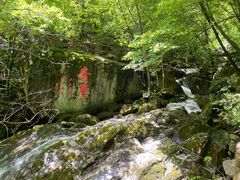 -青峰峡国家森林公园