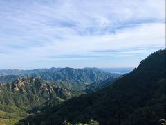 -大岭沟猕猴桃谷风景区