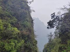 -峨眉山风景名胜区