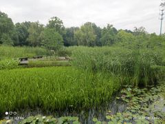 -昆山城市生态森林公园