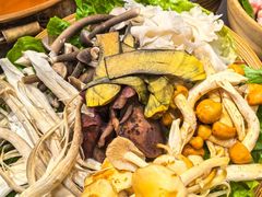 -阿山卓·野生菌火锅·纳西火塘烤肉