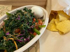 -油梨树 AVOCADO TREE(亮马桥店)