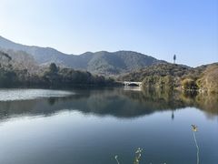 -杭州半山国家森林公园