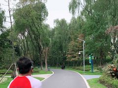 -昆山城市生态森林公园