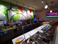 -油梨树 AVOCADO TREE(亮马桥店)