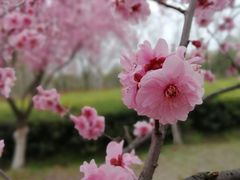-白塘生态植物园