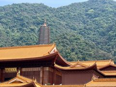 -深圳仙湖植物园