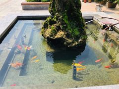 -天津大学附属中学