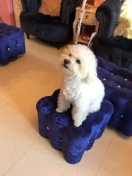 -Pink You美甲美睫纹绣定制中心