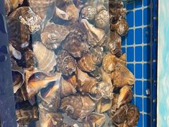 -海天盛宴潮汕蒸汽海鲜高端自助形象店