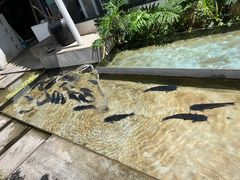 -大理老字号·舟渔的鱼野生菌海景餐厅(双廊店)