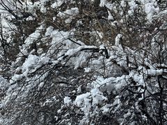 -华山风景名胜区