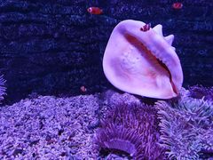 -秦皇岛新澳海底世界