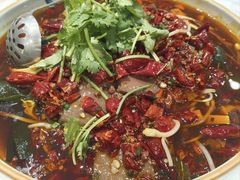 -一品粤珍轩(吴中路店)