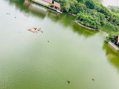 -广州长隆野生动物世界