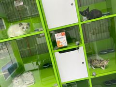 -唐小姐の猫狗洗护·购宠旗舰店(周浦万达店)
