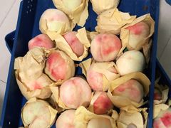 -老袁家蜜桃农场·阳山水蜜桃