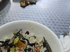 -萨尔瓦多Salvador's