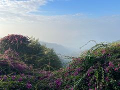 -广州市白云山风景名胜区