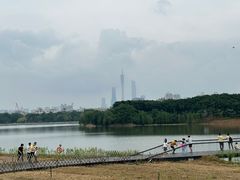 -海珠湖公园