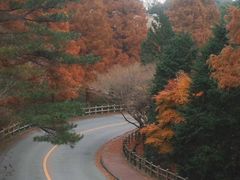 -神户市立六甲山牧场