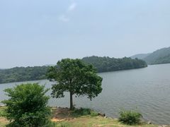 -南京市无想山景区