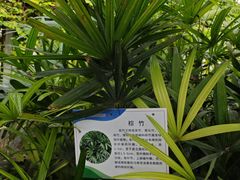 -兴芮温泉度假区