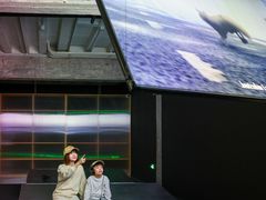 -现代汽车文化中心 Hyundai Motorstudio Beijing
