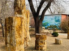 -国家植物园南园