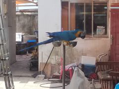 -观桥阁(锦溪店)