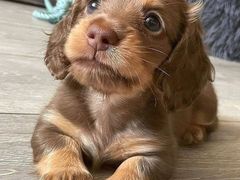 -火炉火自助餐(悠唐购物中心店)