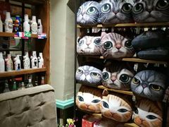-猫咪博物馆(顶澳仔猫街店)