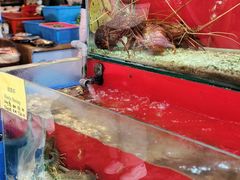 -大树下海鲜饭店