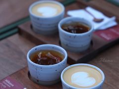 栎树/OaK Tree-Again Coffee Roaster(香蜜湖店)