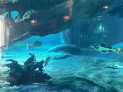 -华夏文旅海洋公园