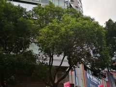 -苏宁易购(Suning Pro南京山西路店)