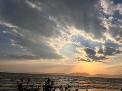 -呈贡滇池生态湿地公园