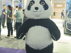 -国家会议中心大酒店