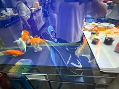 -雨霖祥和炖肉(南市店)